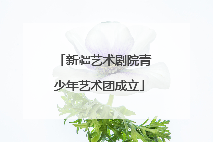 新疆艺术剧院青少年艺术团成立